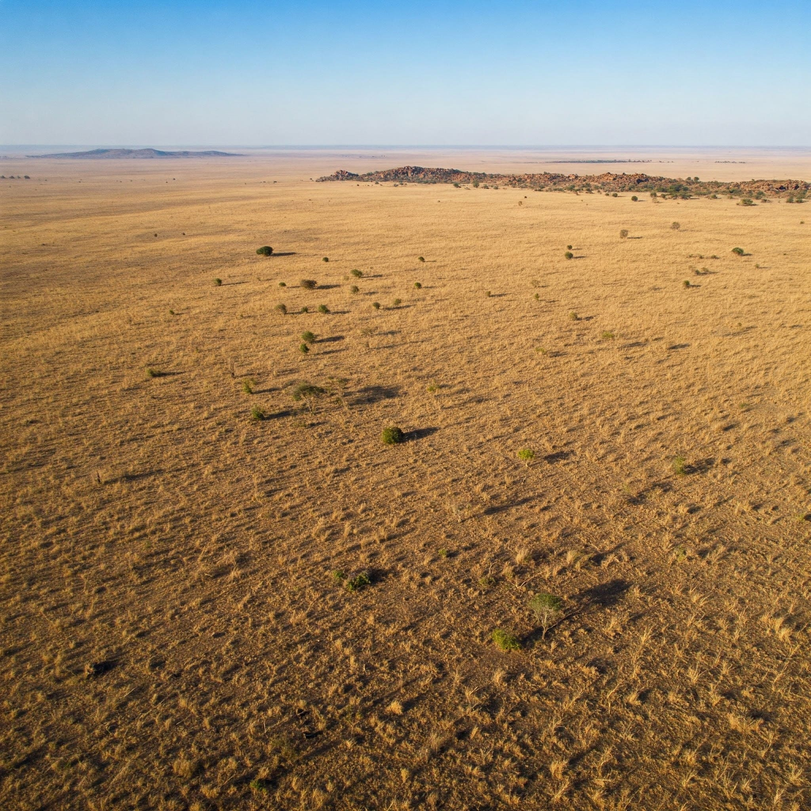 Desierto con escasa vegetación en el interior de Gondwana.