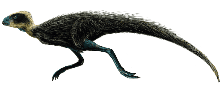 Imagen que muestra un Pisanosaurus.
