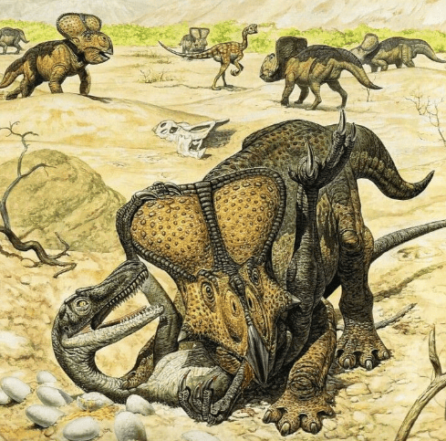 recreación de la pelea entre Velociraptor y Protoceratops.